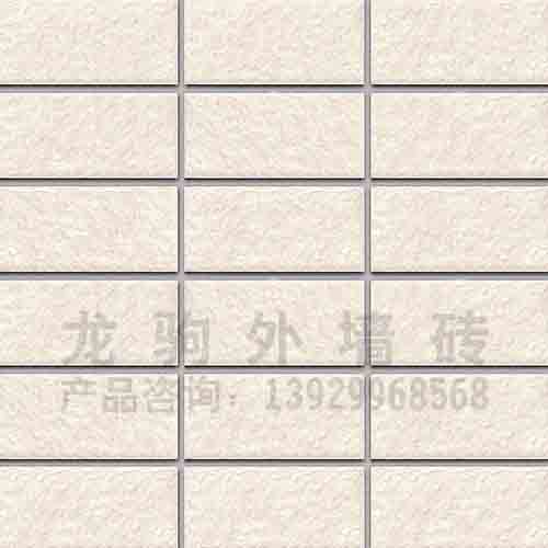 熱銷(xiāo)外墻磚AS1007