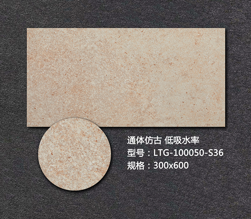 藝術(shù)外墻磚LTG-100050-S36